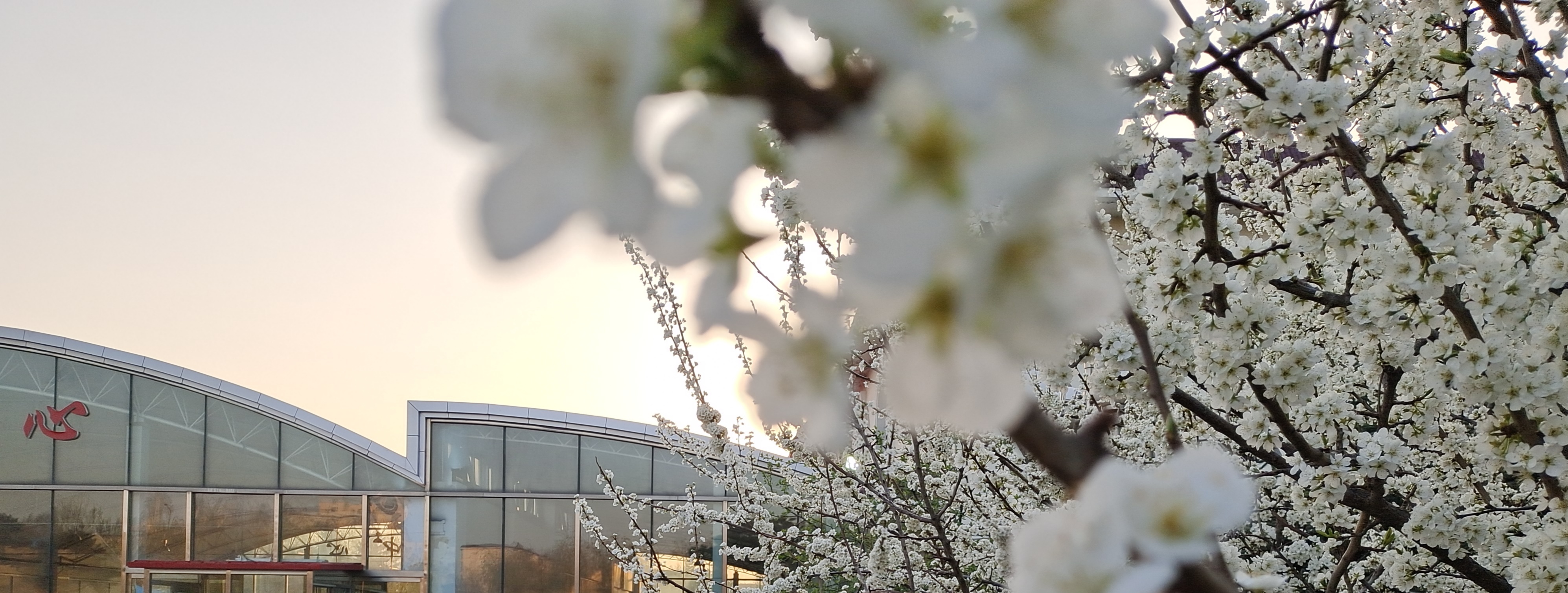 尽在掌握，谈笑风生